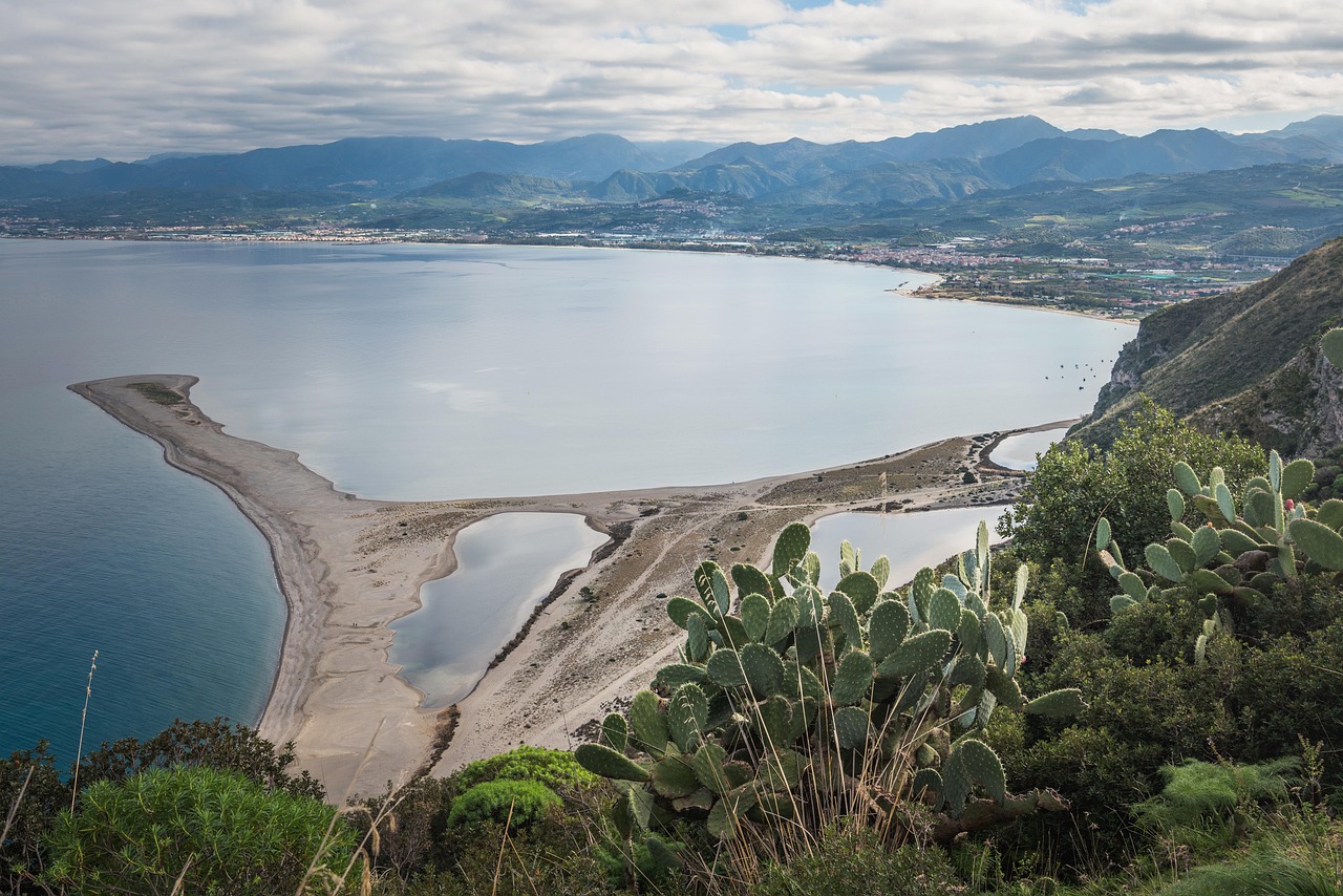 Cesara