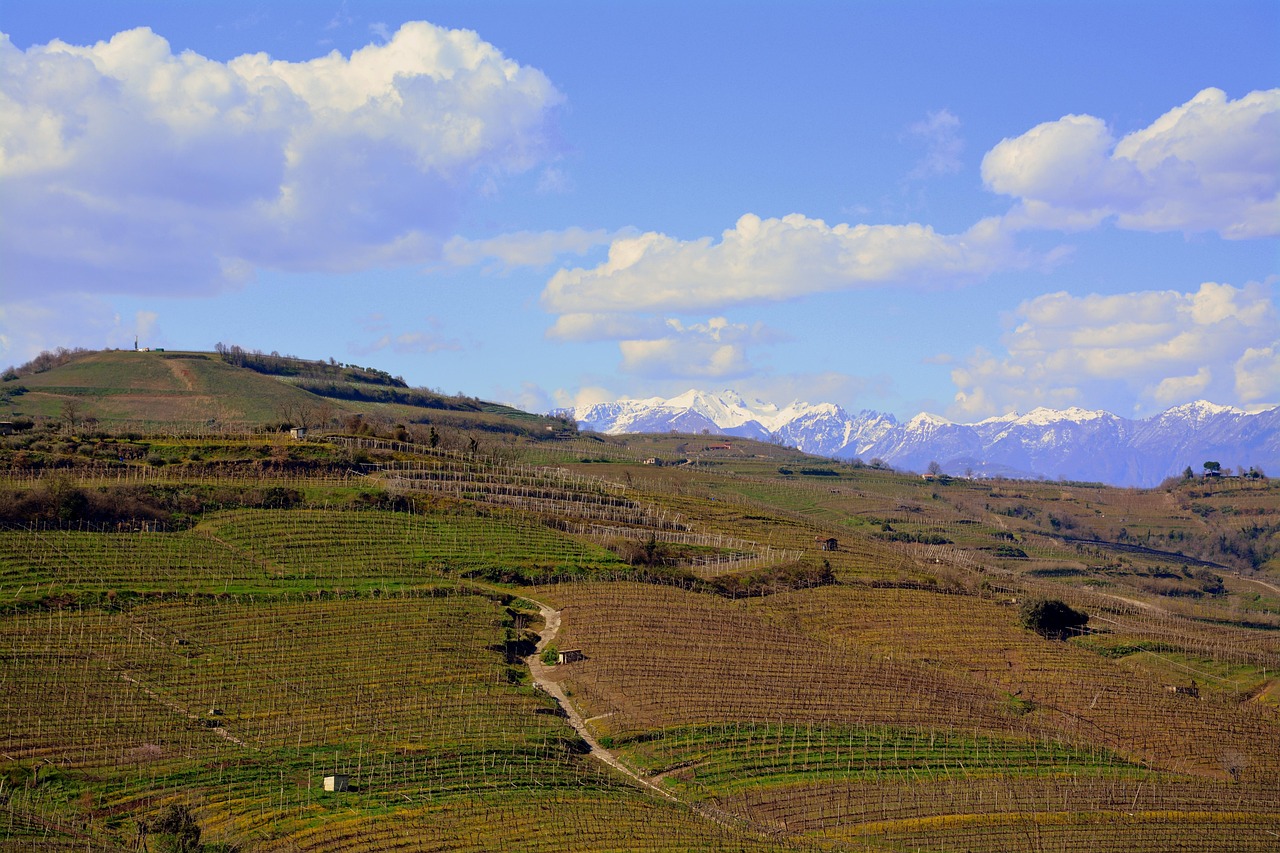 Monteforte d'Alpone