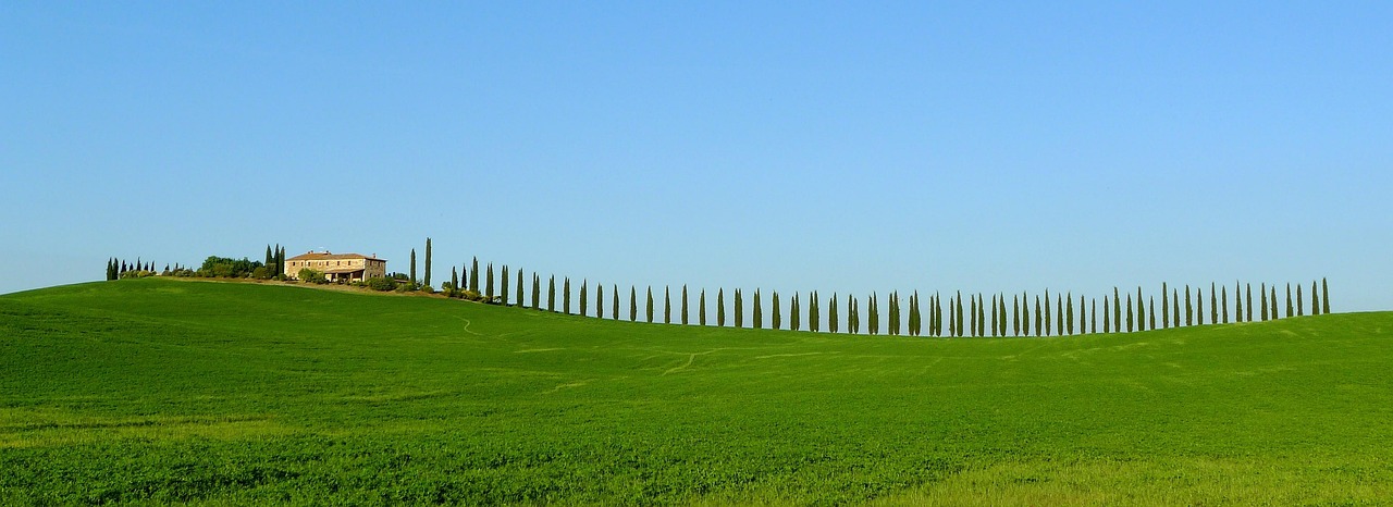 Poggio Catino