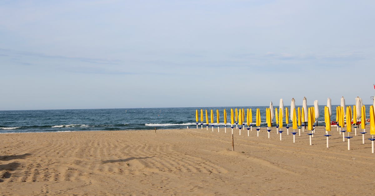Rimini