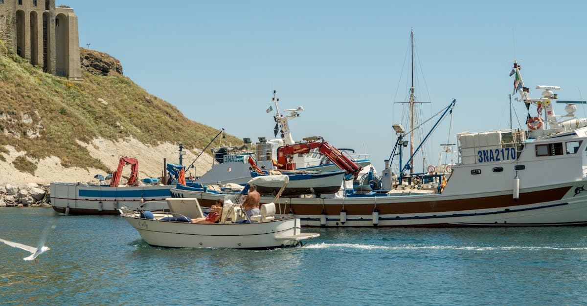 Scilla